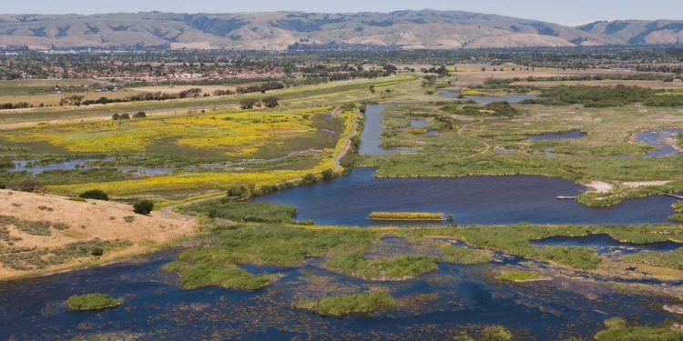 Places to visit in Fremont, Bay Area, CA